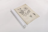 Conversations on  Botany 04 by Wild Apple Portfolio. shown as a rolled paper print. Available as archival giclee rolled canvas, fine art paper, or poster print. SKU 39017h.