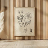 Conversations on  Botany 04 by Wild Apple Portfolio. shown as over sized large wall art. Available as an archival giclee rolled canvas, fine art paper, or poster print. SKU 39017h.