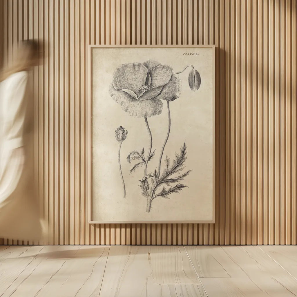 Conversations on  Botany 05 by Wild Apple Portfolio. shown as over sized large wall art. Available as an archival giclee rolled canvas, fine art paper, or poster print. SKU 39018h.