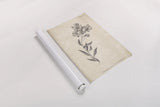 Conversations on  Botany 06 by Wild Apple Portfolio. shown as a rolled paper print. Available as archival giclee rolled canvas, fine art paper, or poster print. SKU 39019h.