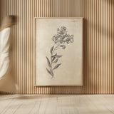 Conversations on  Botany 06 by Wild Apple Portfolio. shown as over sized large wall art. Available as an archival giclee rolled canvas, fine art paper, or poster print. SKU 39019h.