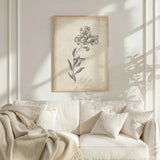 Conversations on  Botany 06 by Wild Apple Portfolio. shown as a framed natural wood wall art in a living room with a linen couch. Available as an archival giclee rolled canvas, fine art paper, or poster print. SKU 39019h.
