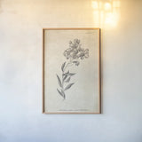 Conversations on  Botany 06 by Wild Apple Portfolio. shown as a paper print in a natural frame. Available as a archival giclee rolled canvas, fine art paper, or poster print. SKU 39019h.