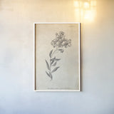 Conversations on  Botany 06 by Wild Apple Portfolio. shown as a paper print in a white frame. Available as a archival giclee rolled canvas, fine art paper, or poster print. SKU 39019h.