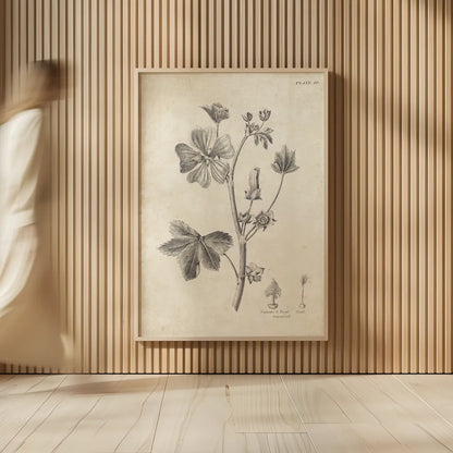 Conversations on  Botany 07 by Wild Apple Portfolio. shown as over sized large wall art. Available as an archival giclee rolled canvas, fine art paper, or poster print. SKU 39020h.