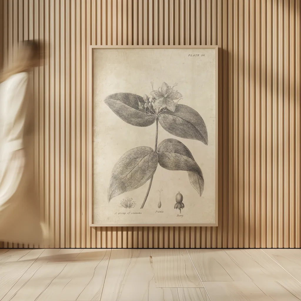 Conversations on  Botany 08 by Wild Apple Portfolio. shown as over sized large wall art. Available as an archival giclee rolled canvas, fine art paper, or poster print. SKU 39021h.