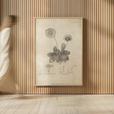 Conversations on  Botany 09 by Wild Apple Portfolio. shown as over sized large wall art. Available as an archival giclee rolled canvas, fine art paper, or poster print. SKU 39022h.
