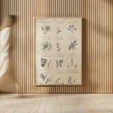 Conversations on  Botany 10 by Wild Apple Portfolio. shown as over sized large wall art. Available as an archival giclee rolled canvas, fine art paper, or poster print. SKU 39023h.