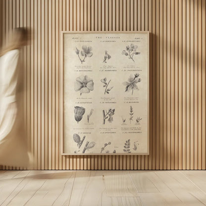 Conversations on  Botany 10 by Wild Apple Portfolio. shown as over sized large wall art. Available as an archival giclee rolled canvas, fine art paper, or poster print. SKU 39023h.