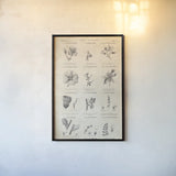 Conversations on  Botany 10 by Wild Apple Portfolio. shown as a paper print in a black flame. Available as a archival giclee rolled canvas, fine art paper, or poster print. SKU 39023h.