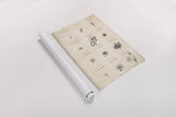 Conversations on  Botany 11 by Wild Apple Portfolio. shown as a rolled paper print. Available as archival giclee rolled canvas, fine art paper, or poster print. SKU 39024h.