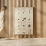 Conversations on  Botany 11 by Wild Apple Portfolio. shown as over sized large wall art. Available as an archival giclee rolled canvas, fine art paper, or poster print. SKU 39024h.