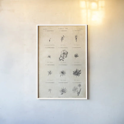 Conversations on  Botany 11 by Wild Apple Portfolio. shown as a paper print in a white frame. Available as a archival giclee rolled canvas, fine art paper, or poster print. SKU 39024h.