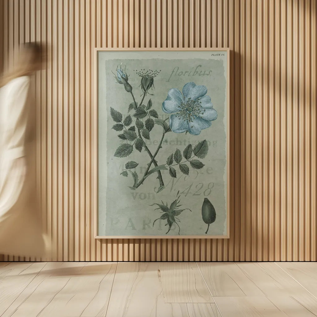 Conversations on Botany IV on White with Blue by Wild Apple Portfolio. shown as over sized large wall art. Available as an archival giclee rolled canvas, fine art paper, or poster print. SKU 63061h.