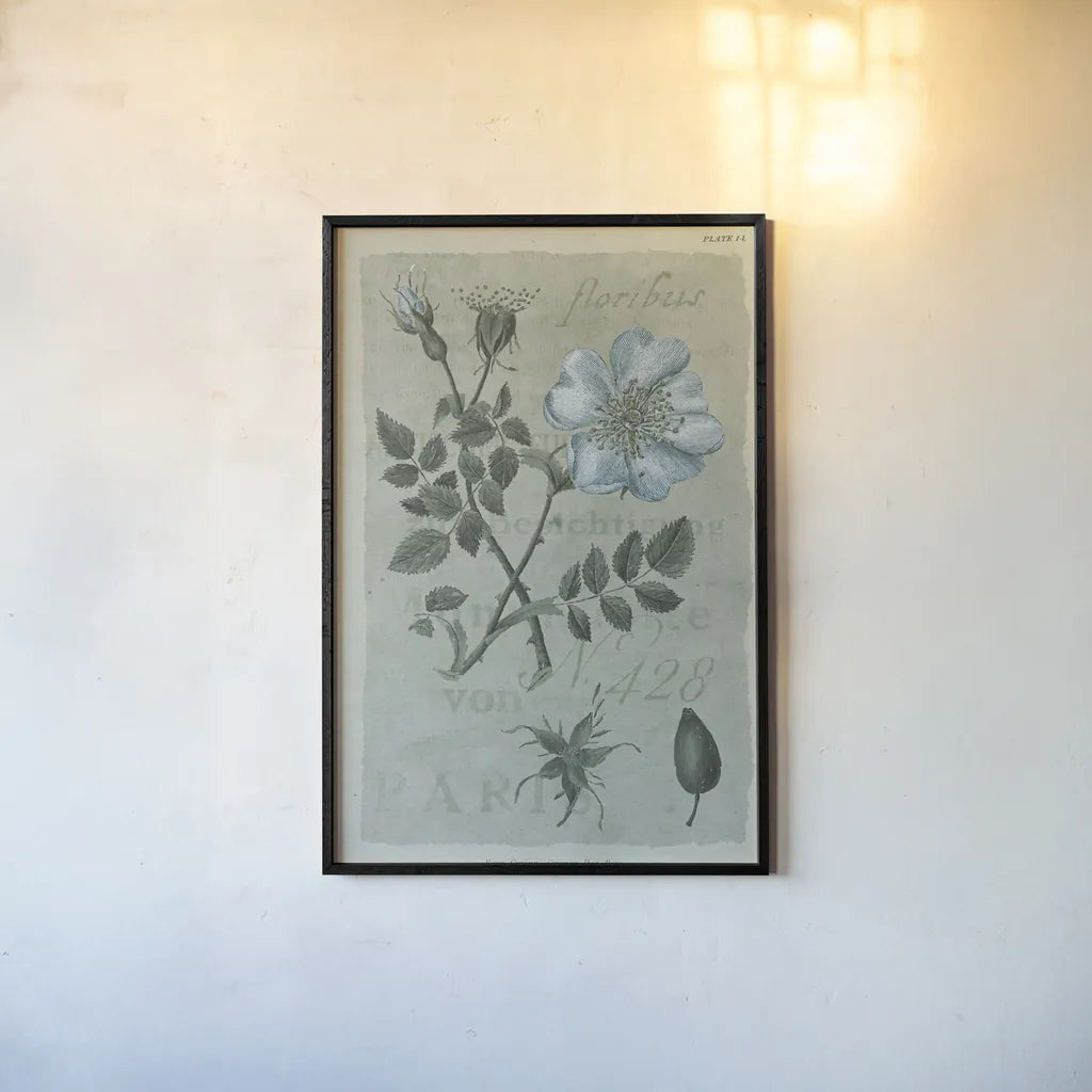 Conversations on Botany IV on White with Blue by Wild Apple Portfolio. shown as a paper print in a black flame. Available as a archival giclee rolled canvas, fine art paper, or poster print. SKU 63061h.