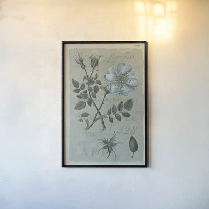 Conversations on Botany IV on White with Blue by Wild Apple Portfolio. shown as a paper print in a black flame. Available as a archival giclee rolled canvas, fine art paper, or poster print. SKU 63061h.