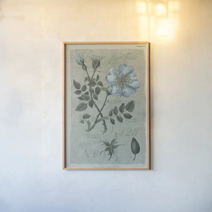 Conversations on Botany IV on White with Blue by Wild Apple Portfolio. shown as a paper print in a natural frame. Available as a archival giclee rolled canvas, fine art paper, or poster print. SKU 63061h.