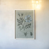 Conversations on Botany IV on White with Blue by Wild Apple Portfolio. shown as a paper print in a white frame. Available as a archival giclee rolled canvas, fine art paper, or poster print. SKU 63061h.