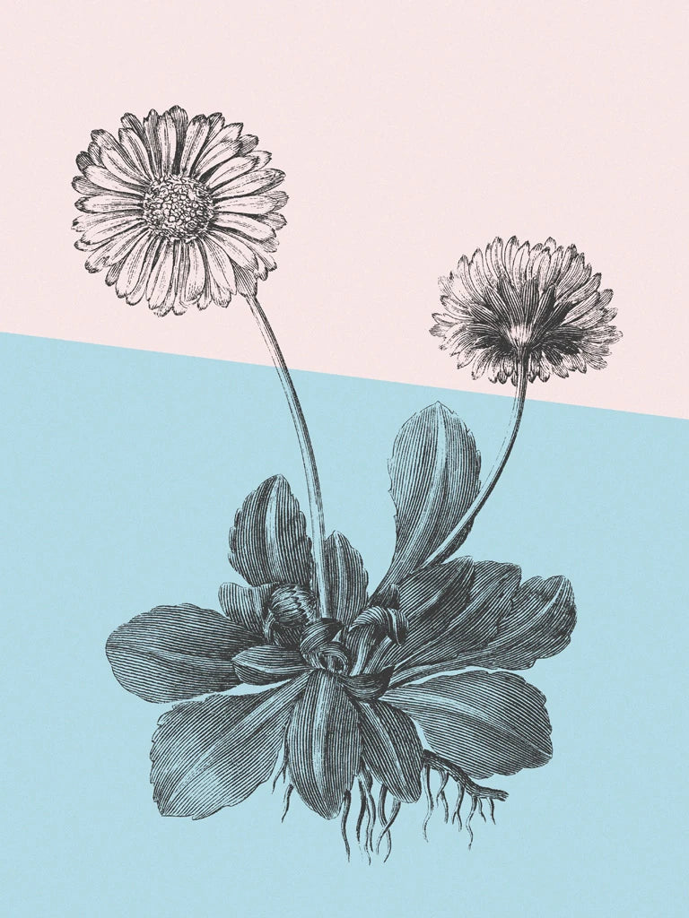 Conversations on Botany IX Color Block by Wild Apple Portfolio