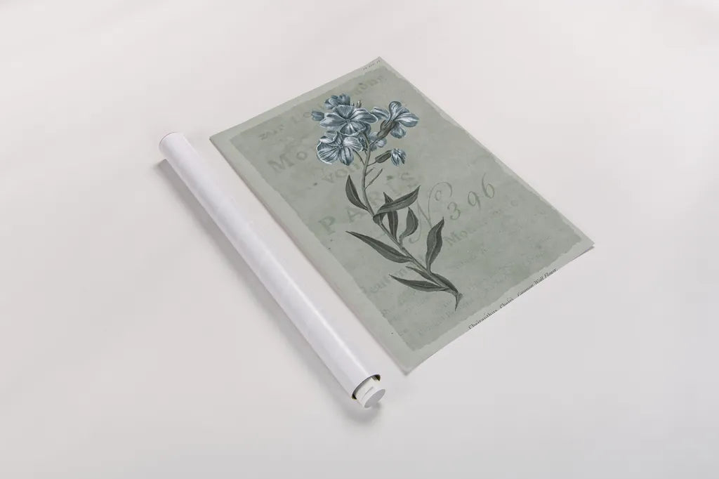 Conversations on Botany VI on White with Blue by Wild Apple Portfolio. shown as a rolled paper print. Available as archival giclee rolled canvas, fine art paper, or poster print. SKU 63062h.