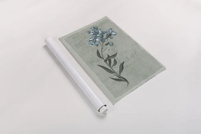 Conversations on Botany VI on White with Blue by Wild Apple Portfolio. shown as a rolled paper print. Available as archival giclee rolled canvas, fine art paper, or poster print. SKU 63062h.