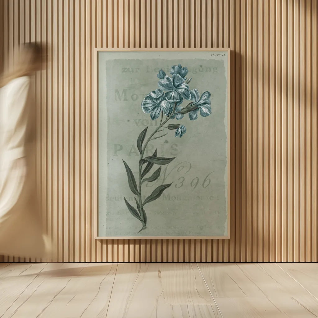 Conversations on Botany VI on White with Blue by Wild Apple Portfolio. shown as over sized large wall art. Available as an archival giclee rolled canvas, fine art paper, or poster print. SKU 63062h.
