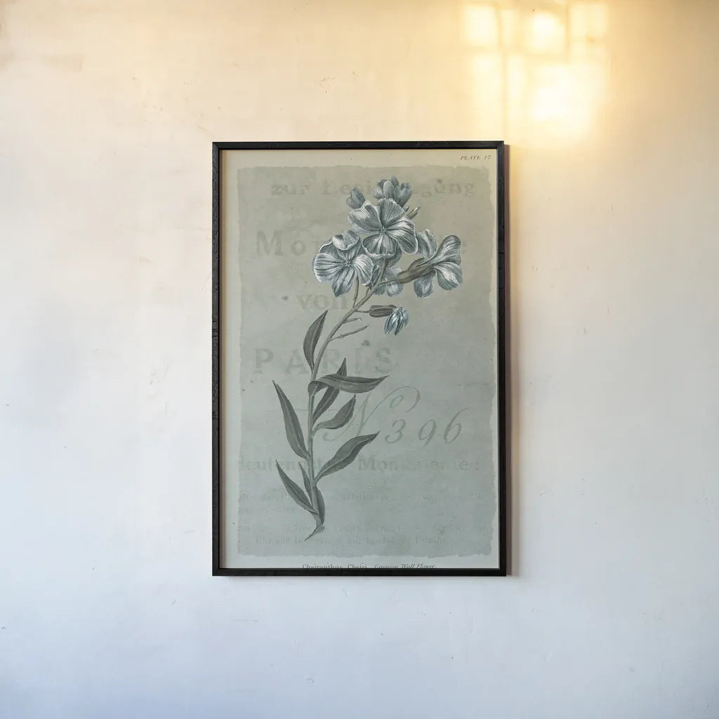 Conversations on Botany VI on White with Blue by Wild Apple Portfolio. shown as a paper print in a black flame. Available as a archival giclee rolled canvas, fine art paper, or poster print. SKU 63062h.