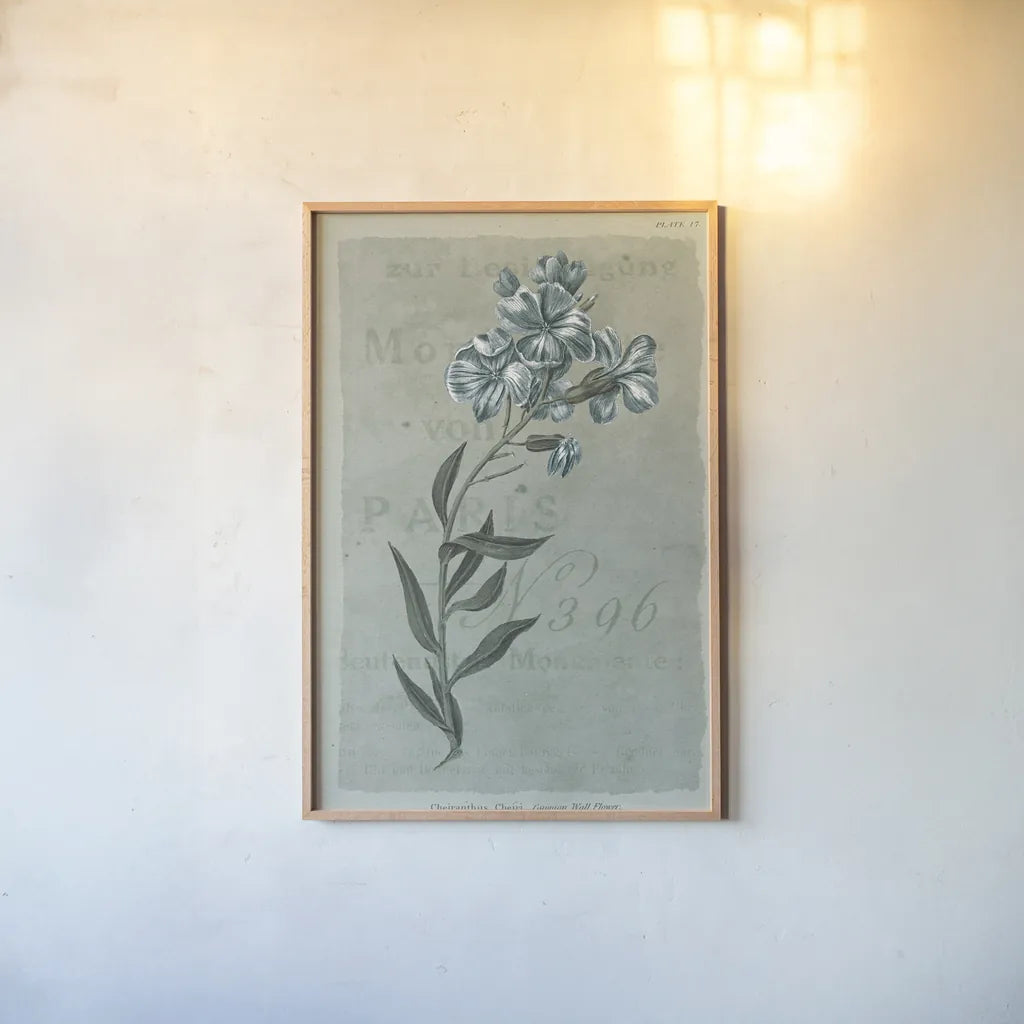 Conversations on Botany VI on White with Blue by Wild Apple Portfolio. shown as a paper print in a natural frame. Available as a archival giclee rolled canvas, fine art paper, or poster print. SKU 63062h.