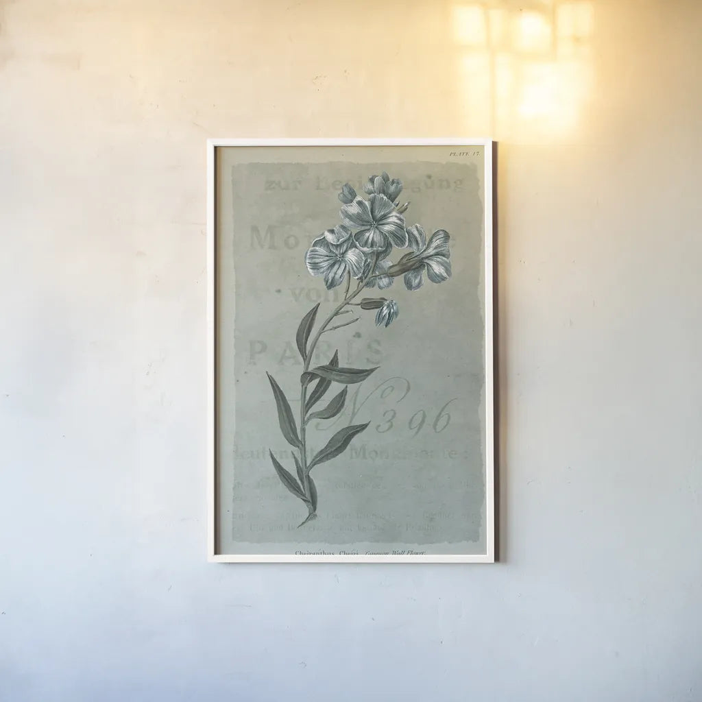 Conversations on Botany VI on White with Blue by Wild Apple Portfolio. shown as a paper print in a white frame. Available as a archival giclee rolled canvas, fine art paper, or poster print. SKU 63062h.