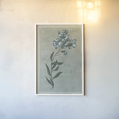 Conversations on Botany VI on White with Blue by Wild Apple Portfolio. shown as a paper print in a white frame. Available as a archival giclee rolled canvas, fine art paper, or poster print. SKU 63062h.