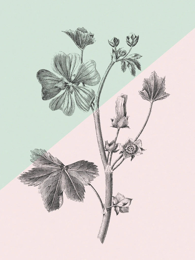 Conversations on Botany VII Color Block by Wild Apple Portfolio
