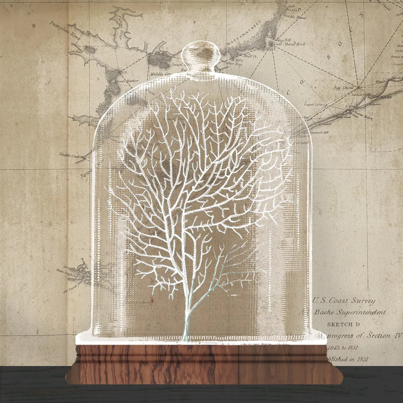 Coral Cloche I by Wild Apple Portfolio. SKU 74497a. Archival Giclee Fine art print for wall decor.