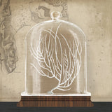 Coral Cloche II by Wild Apple Portfolio. SKU 74498a. Archival Giclee Fine art print for wall decor.