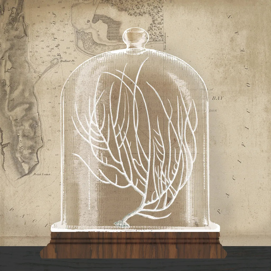 Coral Cloche II by Wild Apple Portfolio. SKU 74498a. Archival Giclee Fine art print for wall decor.