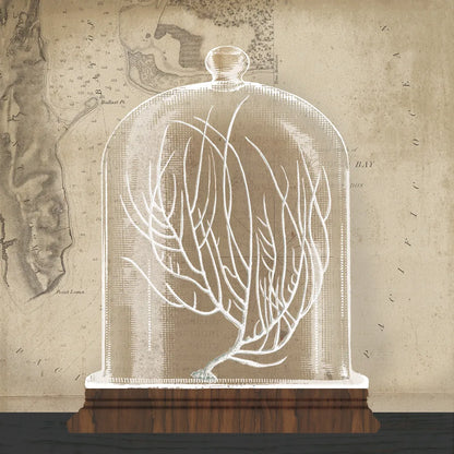 Coral Cloche II by Wild Apple Portfolio. SKU 74498a. Archival Giclee Fine art print for wall decor.