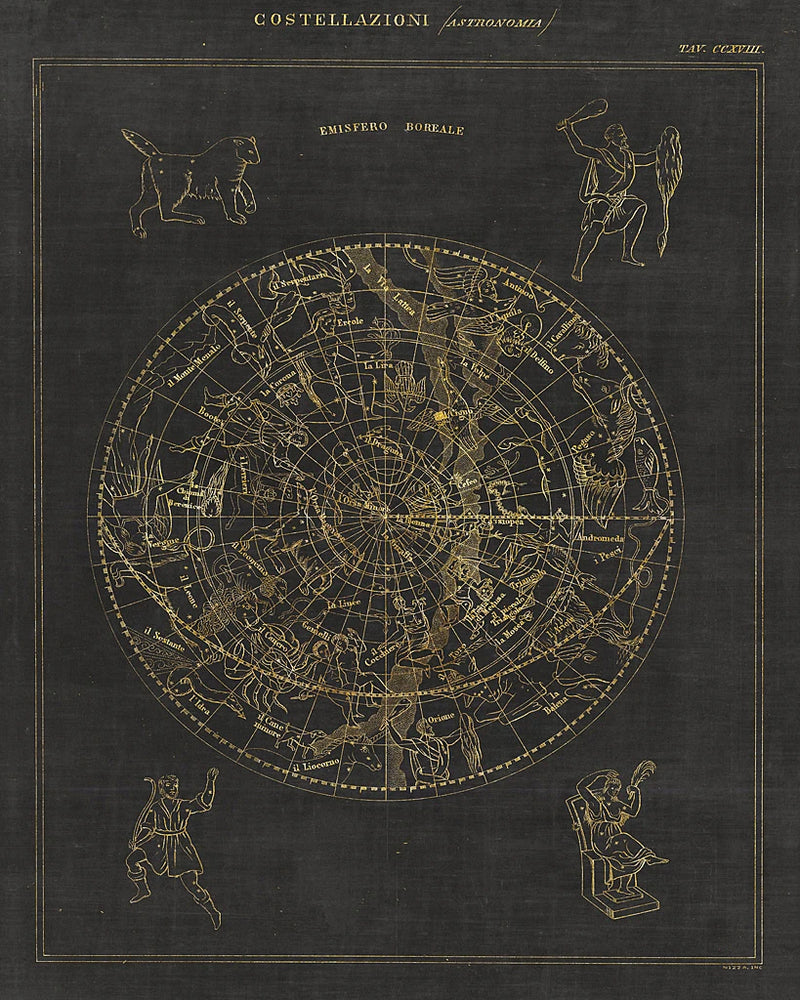 Costellazioni I by Wild Apple Portfolio