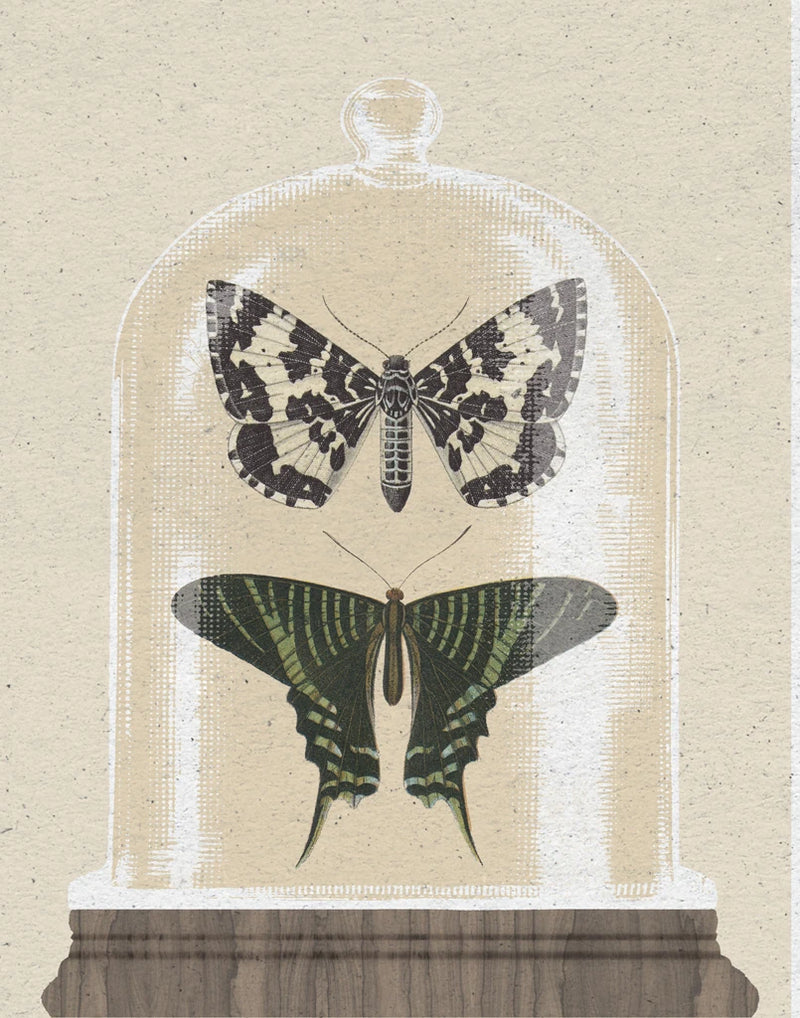 Cottage Butterflies II by Wild Apple Portfolio