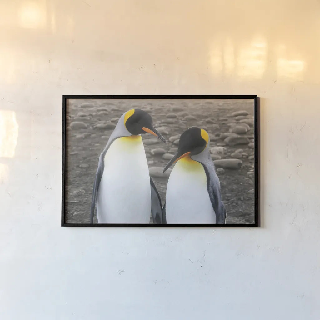 Courting by Wild Apple Portfolio. shown as a paper print in a black flame. Available as a archival giclee rolled canvas, fine art paper, or poster print. SKU 41623i.