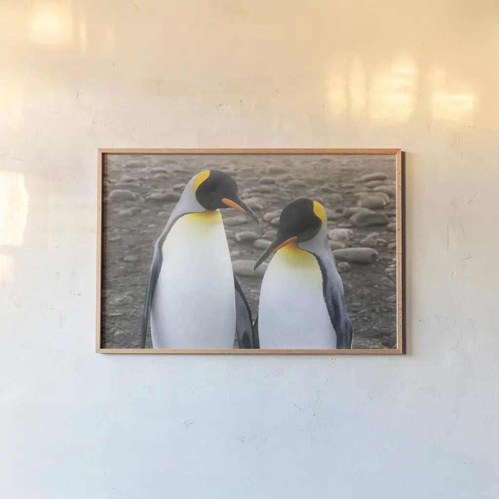 Courting by Wild Apple Portfolio. shown as a paper print in a natural frame. Available as a archival giclee rolled canvas, fine art paper, or poster print. SKU 41623i.