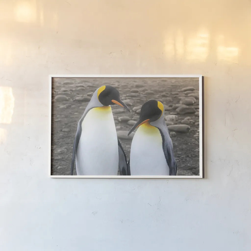 Courting by Wild Apple Portfolio. shown as a paper print in a white frame. Available as a archival giclee rolled canvas, fine art paper, or poster print. SKU 41623i.