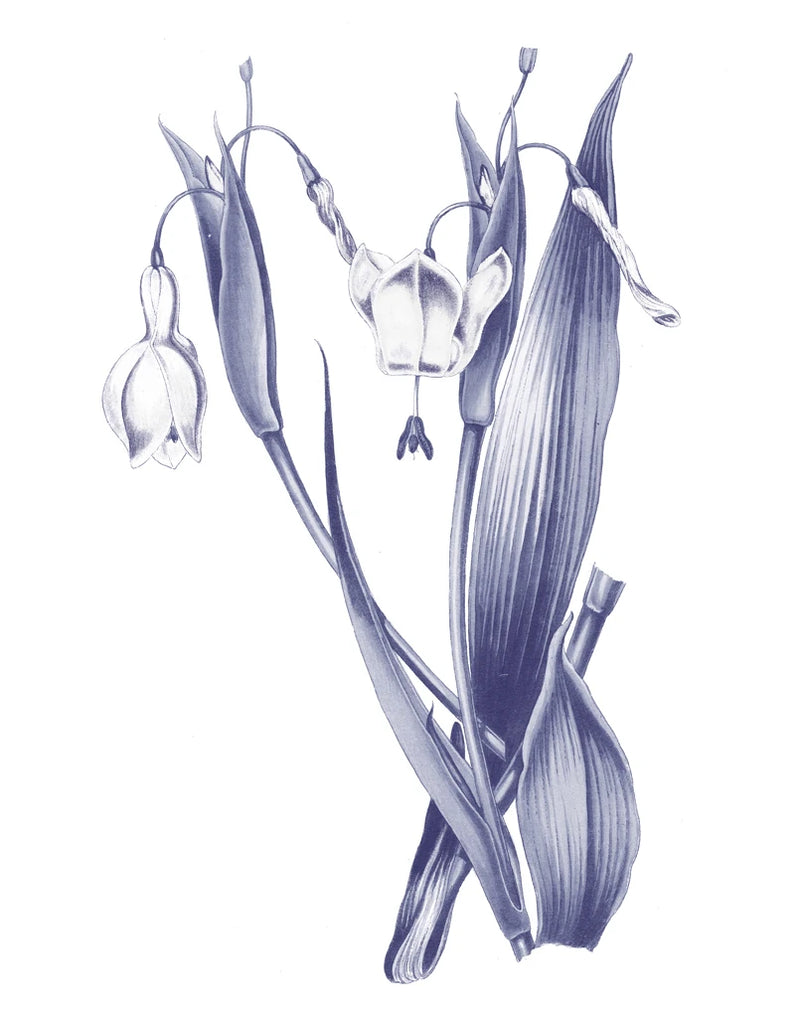 Dark Blue Botanical II by Wild Apple Portfolio