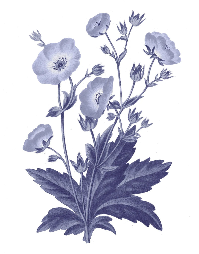 Dark Blue Botanical VI by Wild Apple Portfolio