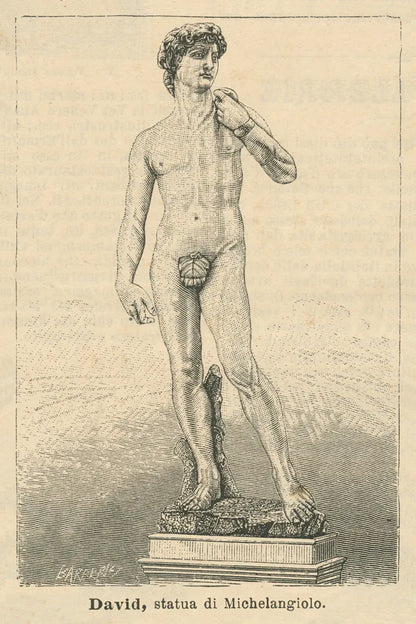 David by Wild Apple Portfolio. SKU 93688h. Archival Giclee Fine art print for wall decor.