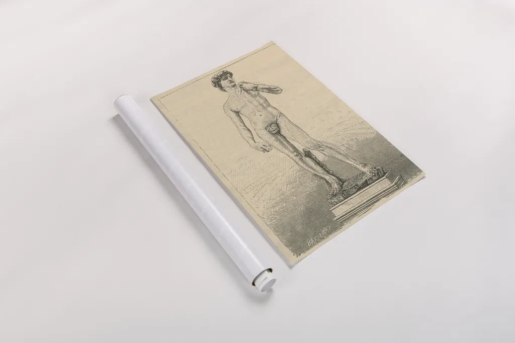 David by Wild Apple Portfolio. shown as a rolled paper print. Available as archival giclee rolled canvas, fine art paper, or poster print. SKU 93688h.