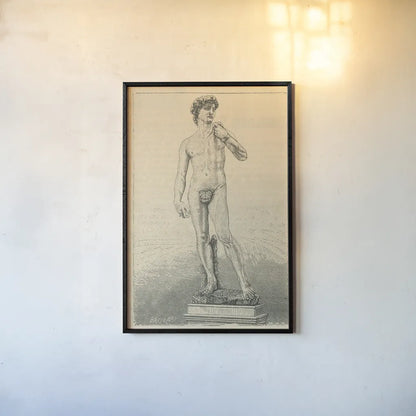 David by Wild Apple Portfolio. shown as a paper print in a black flame. Available as a archival giclee rolled canvas, fine art paper, or poster print. SKU 93688h.