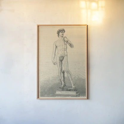 David by Wild Apple Portfolio. shown as a paper print in a natural frame. Available as a archival giclee rolled canvas, fine art paper, or poster print. SKU 93688h.