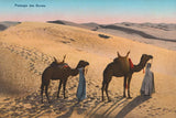 Desert Crossing by Wild Apple Portfolio. SKU 71234i. Archival Giclee Fine art print for wall decor.