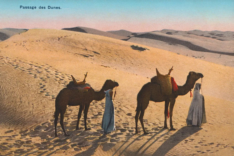 Desert Crossing by Wild Apple Portfolio. SKU 71234i. Archival Giclee Fine art print for wall decor.