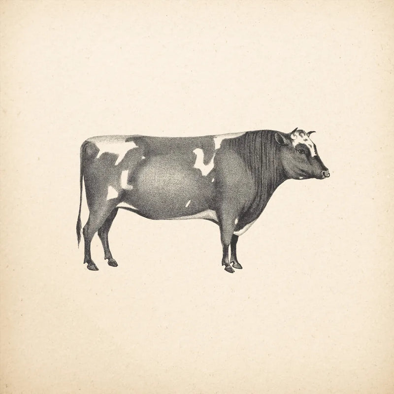 Down on the Farm I No Words by Wild Apple Portfolio. SKU 91359a. Archival Giclee Fine art print for wall decor.