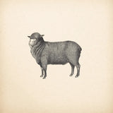 Down on the Farm II No Words by Wild Apple Portfolio. SKU 91360a. Archival Giclee Fine art print for wall decor.